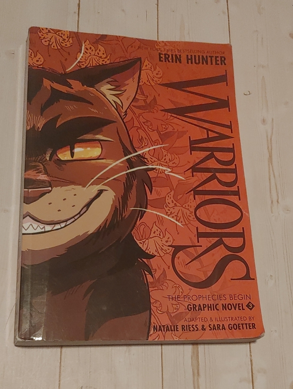 Warriors The Prophecies Begin Children Graphic Novel 3 Erin Hunter Natalie Riess